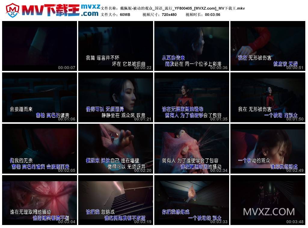 戴佩妮-被动的观众_国语_流行_YF800405